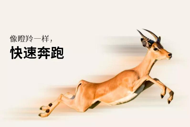 src=http___img.chinagazelle.cn_828483fb70f04290b5af5f115df7a0b0.jpg&refer=http___img.chinagazelle.jpg